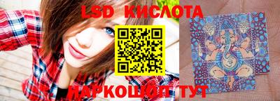 гидропоника Ставрополь
