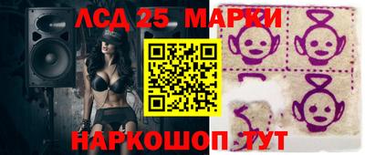 гидропоника Ставрополь